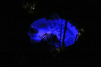 Alaya Escape - Yamba Accommodation 44