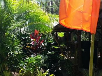 Alaya Escape - Yamba Accommodation 53