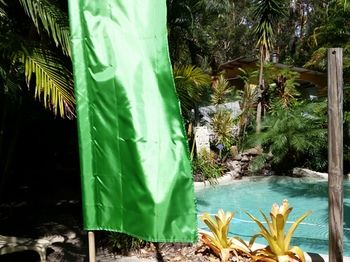 Alaya Escape - Yamba Accommodation 54