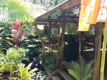 Alaya Escape - Yamba Accommodation 55