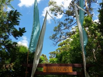 Alaya Escape - Yamba Accommodation 56