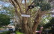 Montville Suites - thumb 11