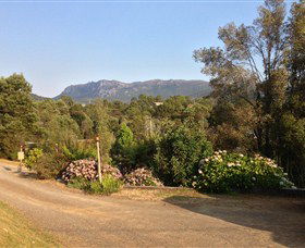Rosebery Cabin And Tourist Park - Yamba Accommodation 0