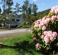 Zeehan Bush Camp  and Caravan Park - Yamba Accommodation
