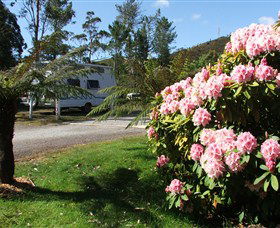 Zeehan Bush Camp  And Caravan Park - Yamba Accommodation 0