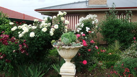 Admurraya House Bed And Breakfast - Yamba Accommodation 5