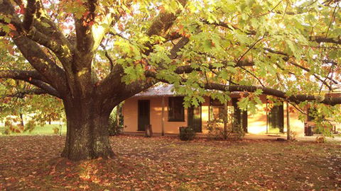 Delatite Station - Yamba Accommodation 3
