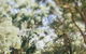 The Cottage At Bolobek - thumb 5