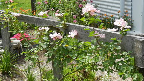 Willy's Holiday House - Yamba Accommodation 4