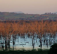 Salisbury - Yamba Accommodation