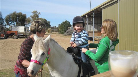 Cabarita Lodge - Yamba Accommodation 2