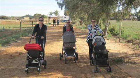 Cabarita Lodge - Yamba Accommodation 3