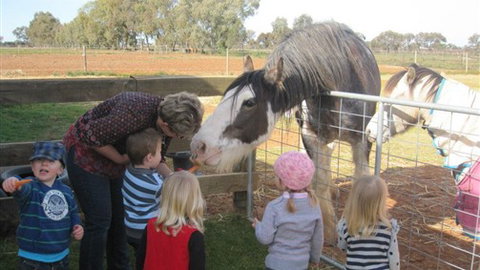 Cabarita Lodge - Yamba Accommodation 4