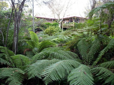 Adelaide Hills Bed & Breakfast Accommodation - Yamba Accommodation 3