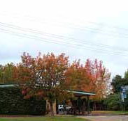 Allambie Motel Pty Ltd - Yamba Accommodation