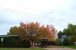 Allambie Motel Pty Ltd - Yamba Accommodation 0