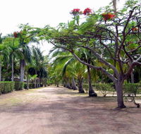 Alva Beach Tourist Park - Yamba Accommodation
