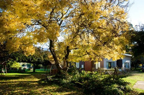 Buffalo Motel And Country Retreat - Yamba Accommodation 5