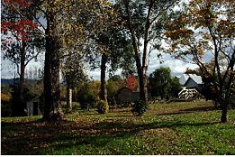 Buffalo Motel And Country Retreat - Yamba Accommodation 8