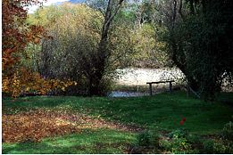 Buffalo Motel And Country Retreat - Yamba Accommodation 9