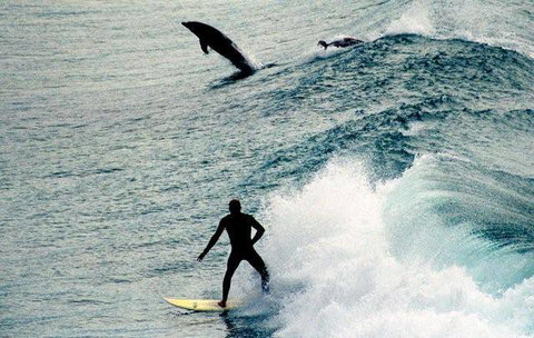 Club Yamba Luxury Hilltop Villas - Yamba Accommodation 8