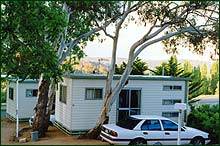Cooma Snowy Mountains Tourist Park - Yamba Accommodation 0