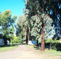 Cudal Caravan Park - Yamba Accommodation