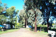 Cudal Caravan Park - Yamba Accommodation 0