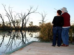 Kingston-On-Murray Caravan Park - Yamba Accommodation 2