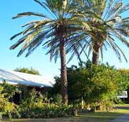 Merino Motor Inn - Yamba Accommodation