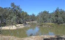 4 Post Recreation Park - Yamba Accommodation 0