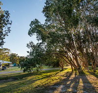 Delicate campground - Yamba Accommodation