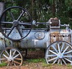 Dingo Tops campground - Yamba Accommodation