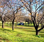 Wellington Caves Caravan Park - Yamba Accommodation