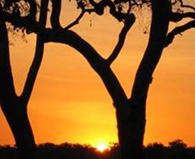 Coodardie Station Stay - Yamba Accommodation 2