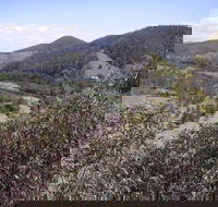 Blackbird Flat Camping Ground - Yamba Accommodation