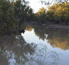 Four Mile Camping Reserve - Yamba Accommodation