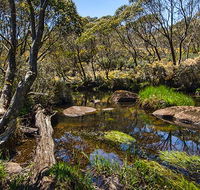 Junction Pools campground - Yamba Accommodation