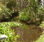 Tallowood Ridge B and B - Yamba Accommodation