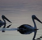 Lakeview Motor Inn - Belmont - Yamba Accommodation