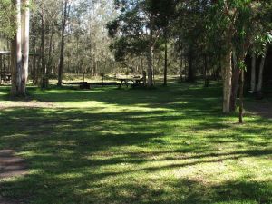 Jervis Bay Cabins And Hidden Creek Real Camping - Yamba Accommodation 5