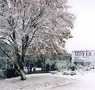 Maneroo Motel - Yamba Accommodation