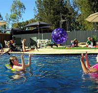 Kingston On Murray Caravan Park - Yamba Accommodation