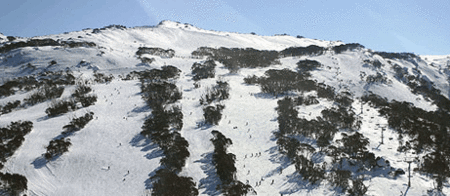 Thredbo Alpine Hotel - Yamba Accommodation