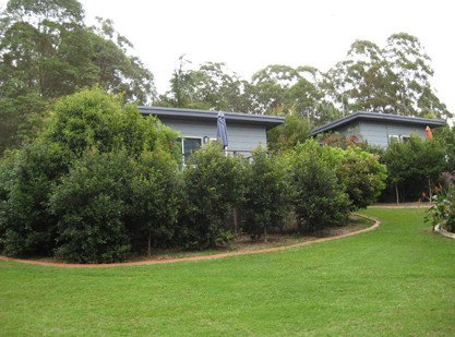 Mapleton Cabins And Caravan Park - Yamba Accommodation 3