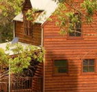 Barrington Tops Organic Retreat - Yamba Accommodation