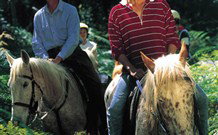 Cooby Springs Country Retreat - Yamba Accommodation 1