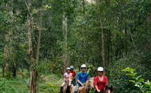 Cooby Springs Country Retreat - Yamba Accommodation 2