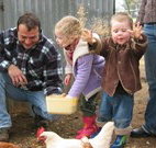 Linga Longa Farm Wingham - Yamba Accommodation