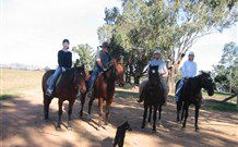 Linga Longa Farm Wingham - Yamba Accommodation 1